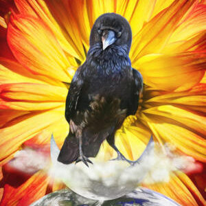 Immaculate Perception v2.0